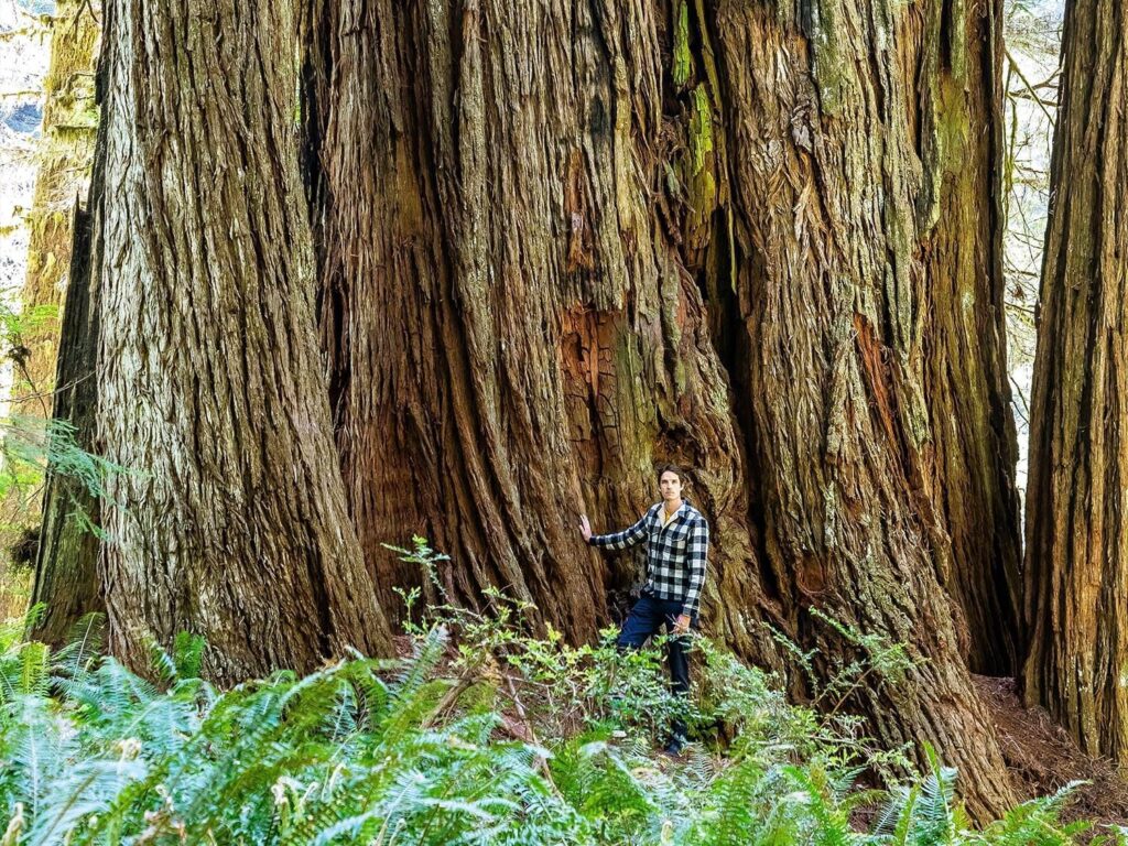 The Path of Sustainability: The Mission is Ongoing