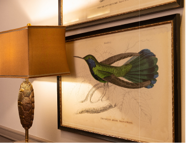Framed vintage illustration of a green hummingbird beside a glowing table lamp on a beige wall