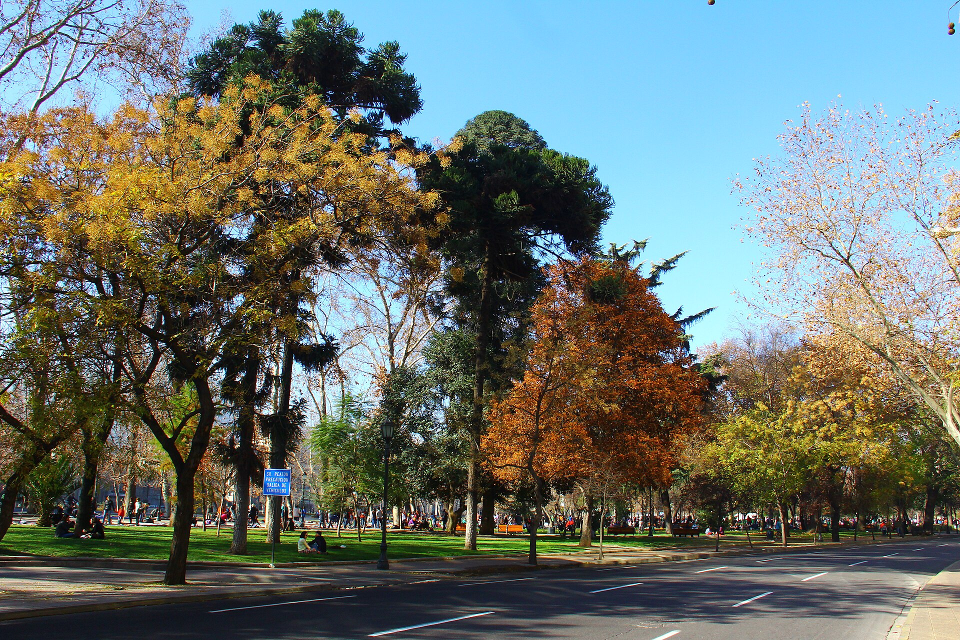 People relax beneath colorful autumn trees in a leafy city park beside a quiet road on a sunny day.
