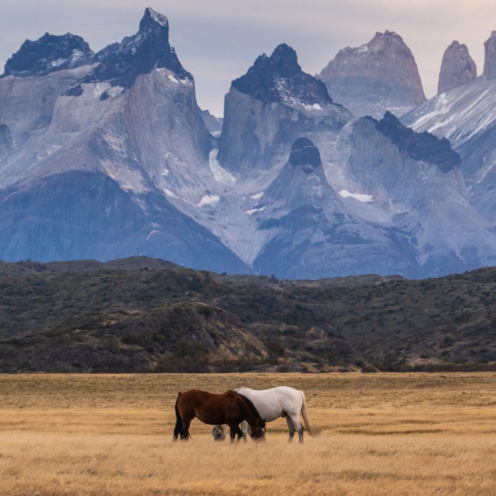 Foto por los hoteles singulares el 25 de julio de 2025.