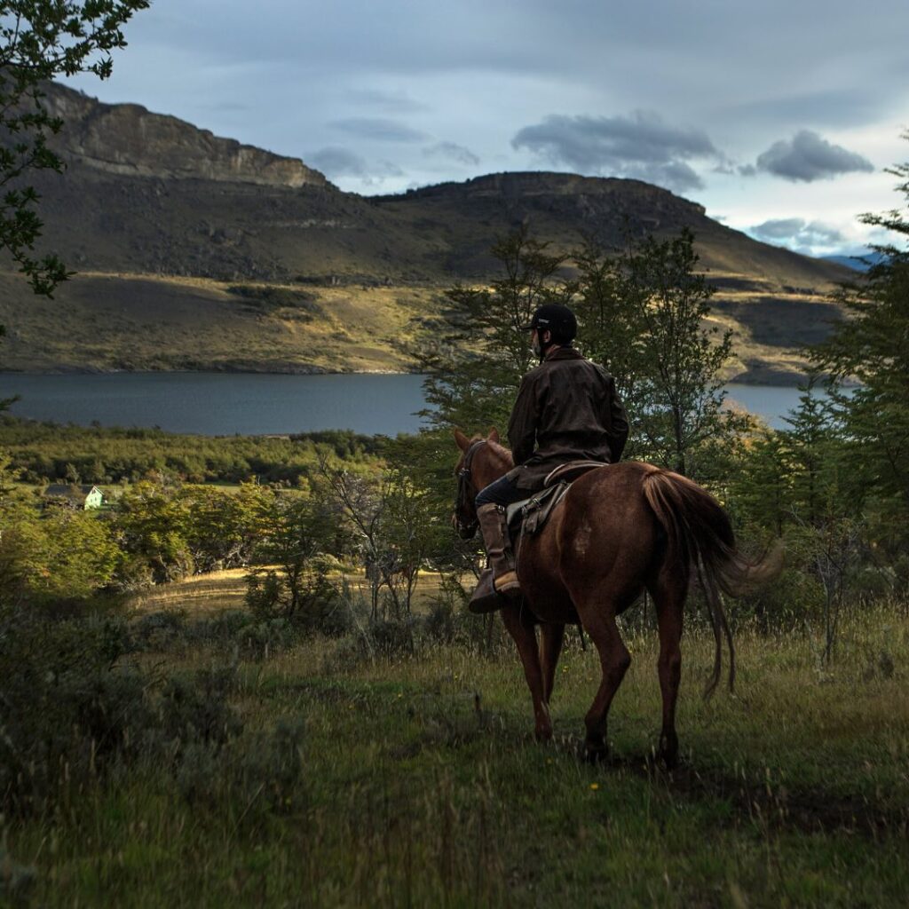 Foto por la Patagonia Singular el 21 de enero de 2025.