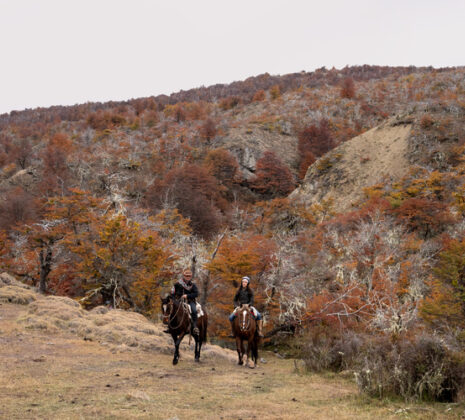 Two riders on horseback cross a grassy trail through an autumn-colored mountain forest.
