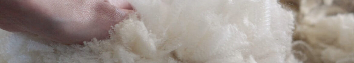 banner A hand wearing a black fitness tracker touches soft white wool fibers in a textile processing setting.