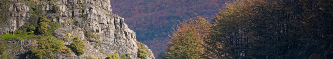 honbanner Rocky mountain cliffs and a forested valley with trees displaying autumn colors.