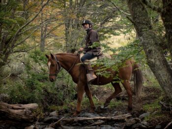 Interested in Horseback Riding, Puma Tracking, or Fly Fishing in Patagonia? We’ve got some tips. Interested in Horseback Riding, Puma Tracking, or Fly Fishing in Patagonia? We’ve got some tips.