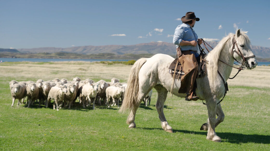 Screenshot A shepherd rides a white horse beside a flock of sheep grazing in a green pasture near a lake and mountains.